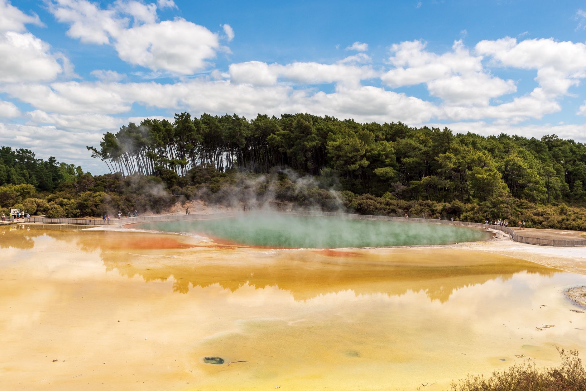 Steam rising from Wai-O-Tapu thermal pools in Rotorua
